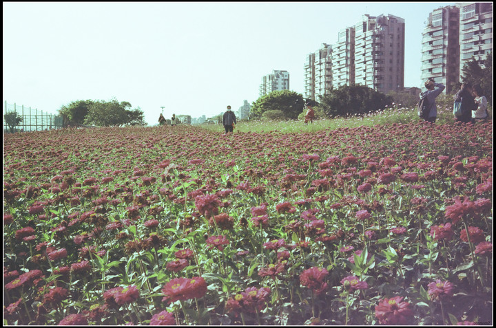 過期變質的kodak c200