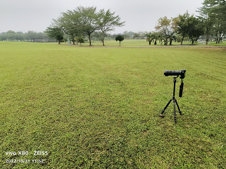 Nikon Z9以5支鏡頭拍草地香菇從14mm變焦至3200mm+3680mm。