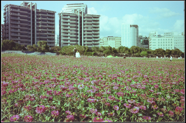過期變質的kodak c200
