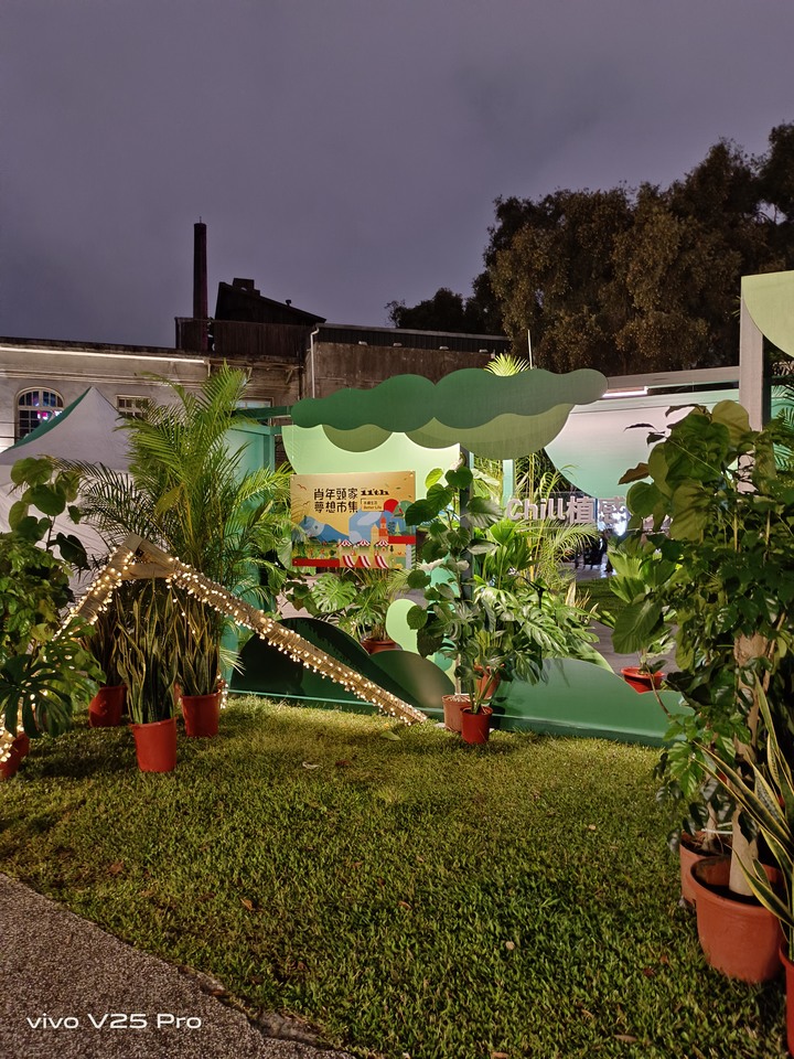 V25 Pro隨手夜景試拍