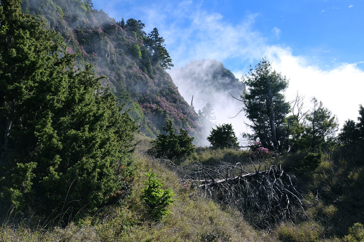 點我看大圖 【桃山喀拉業】一日二秀 | 比合歡西峰還要鳥的鳥山