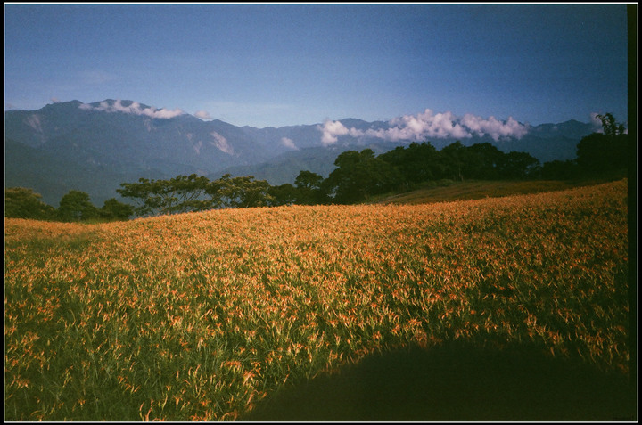 過期但變質沒很嚴重的fuji400