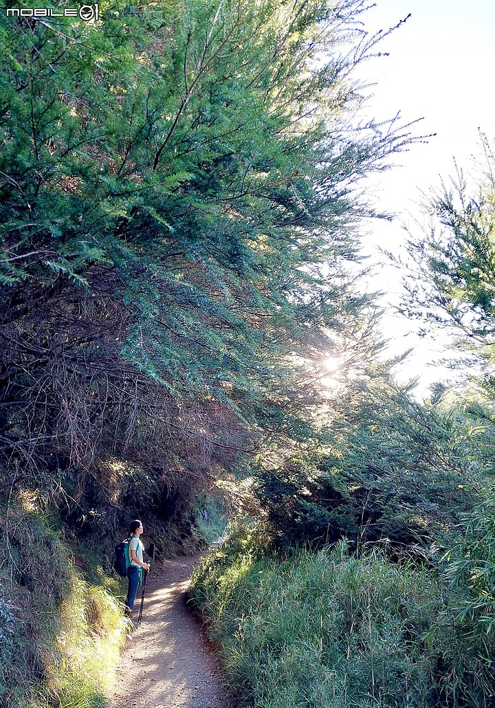 點我看大圖 奇萊南峰/南華山~單攻