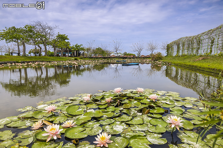 點我看大圖 精緻風景細節盡在Canon EOS R5