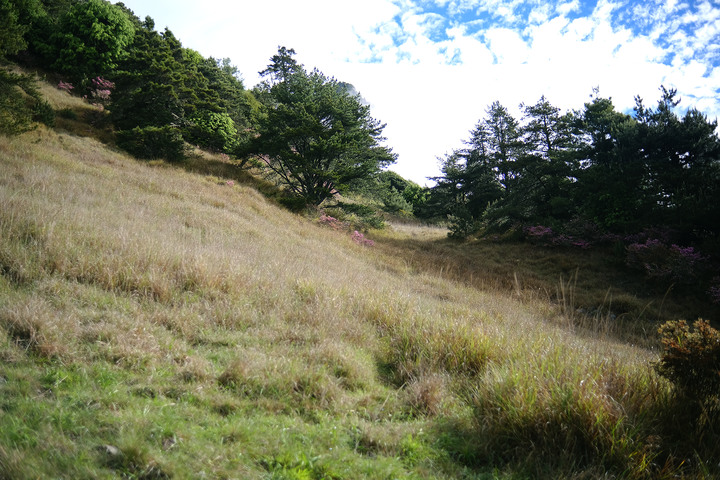 點我看大圖 【桃山喀拉業】一日二秀 | 比合歡西峰還要鳥的鳥山