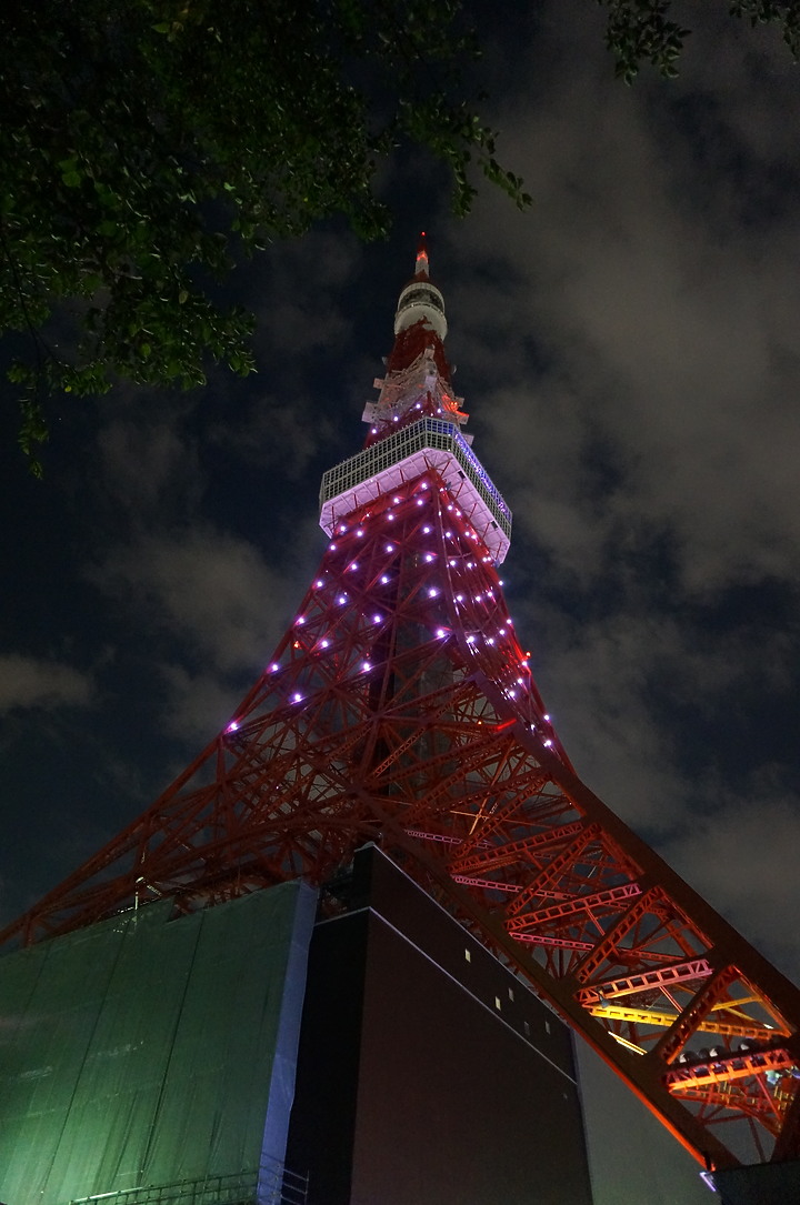 夜景 ▪ 民宿 ▪ 星野 ▪ 漫畫景點 ▪ 東京8日之旅