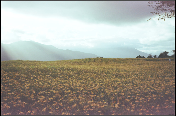 過期變質的kodak c200