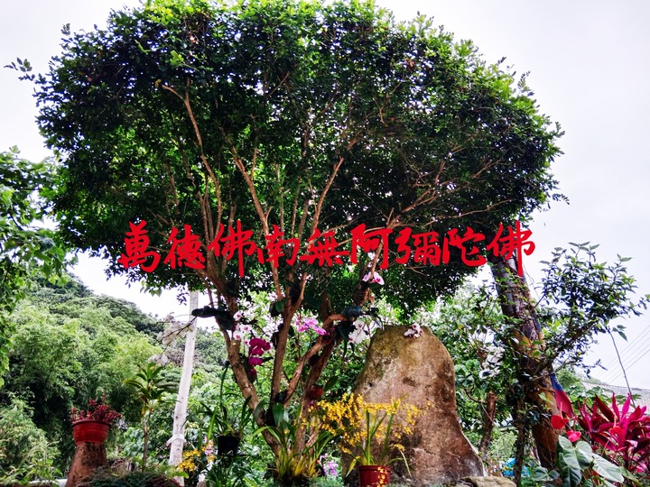 憂鬱症/死亡/修行/萬德佛南無阿彌陀佛/西方極樂世界