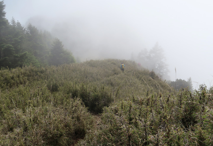 點我看大圖 【桃山喀拉業】一日二秀 | 比合歡西峰還要鳥的鳥山