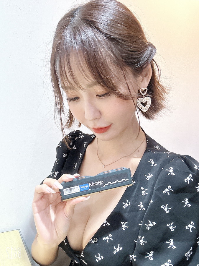 金泰克 速虎 T4及貪狼星 Wolfrine 兩款 DDR4 8GB 散熱片 記憶體