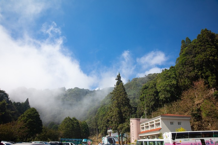 南投杉林溪一日遊賞楓葉與山林美景分享