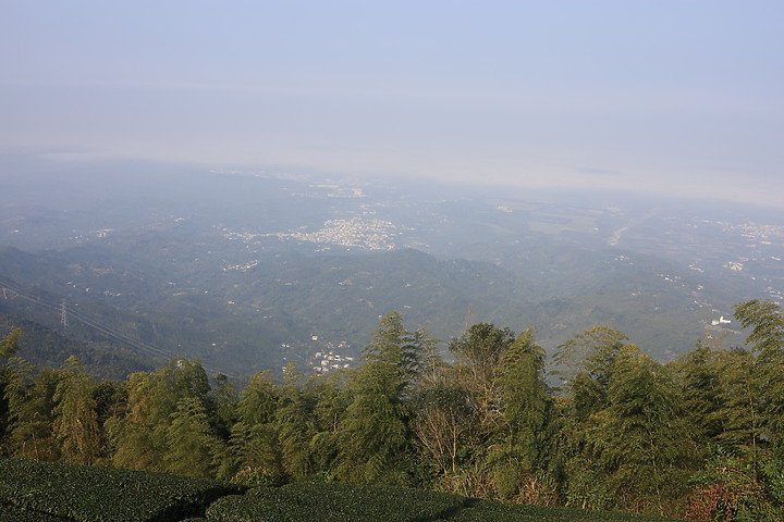 【嘉義抹茶山】 雲嘉五連峰,漫步晨陽雲霧!大尖山、二尖山、馬鞍山、梨子腳山、太平山!茶園山嵐美景小百岳