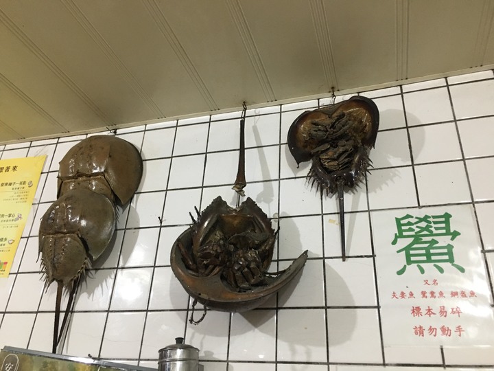 「金門老兵召集令」騎遊金門島