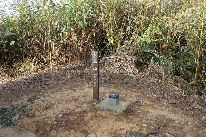 【嘉義抹茶山】 雲嘉五連峰,漫步晨陽雲霧!大尖山、二尖山、馬鞍山、梨子腳山、太平山!茶園山嵐美景小百岳