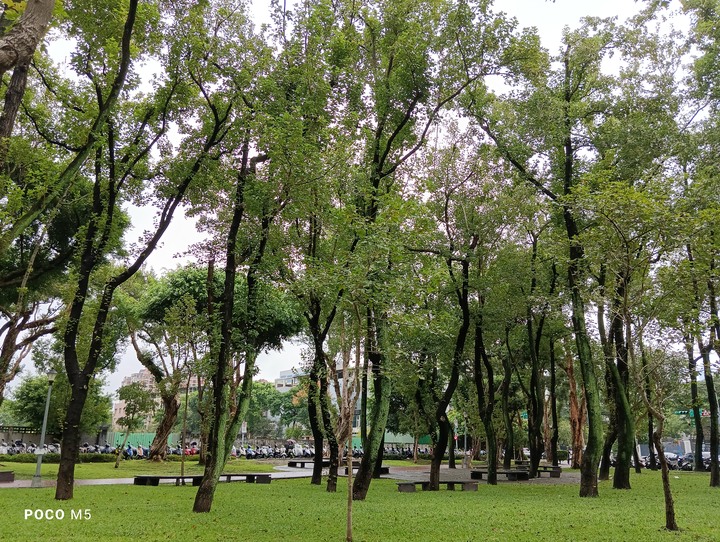 點我看大圖 雙11 第一買-POCO M5 開箱