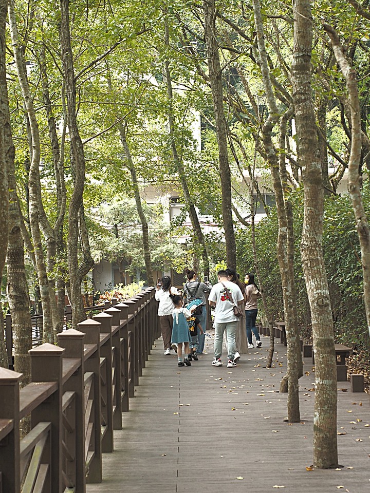 車埕火車站、車埕木業展示館、貯木池、水里火車站 — 「鐵道旅行•幸福美好111」紀念章戳收集紀錄之集集支線 【下】