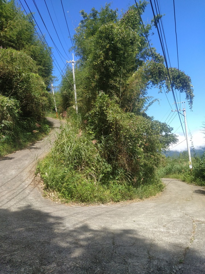 小布騎遊新竹凌空廊道O型