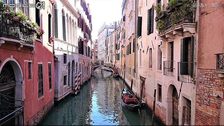 [大頭貓的海島] 瀉湖上的奇蹟美城 威尼斯 (Venice)