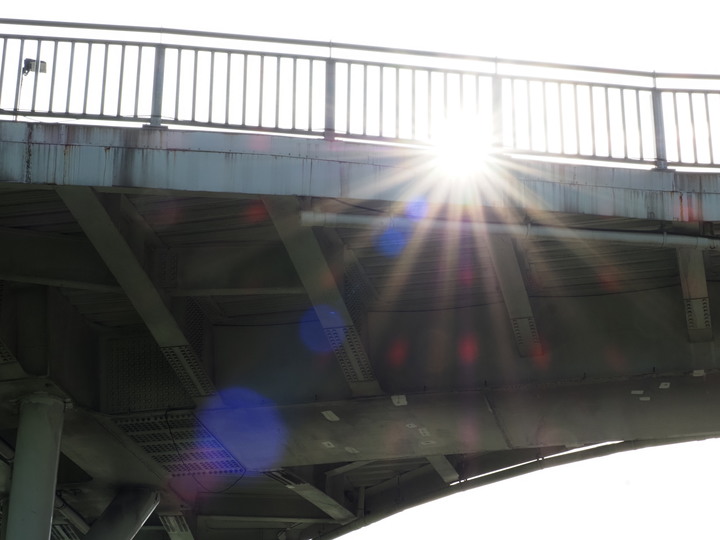 點我看大圖 m43望遠鏡頭比較 14-140mm vs 40-150mm pro vs 75-300mm
