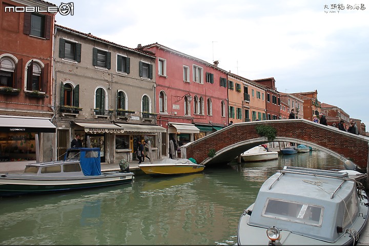 [大頭貓的海島] 瀉湖上的奇蹟美城 威尼斯 (Venice)