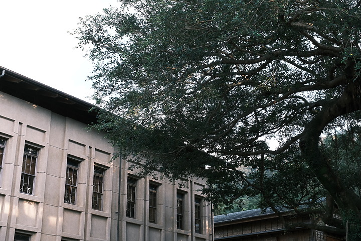 Sigma 18-50mm f/2.8 DC DN Contemporary 評測報告|285g 的平價鏡皇 feat. X-E4