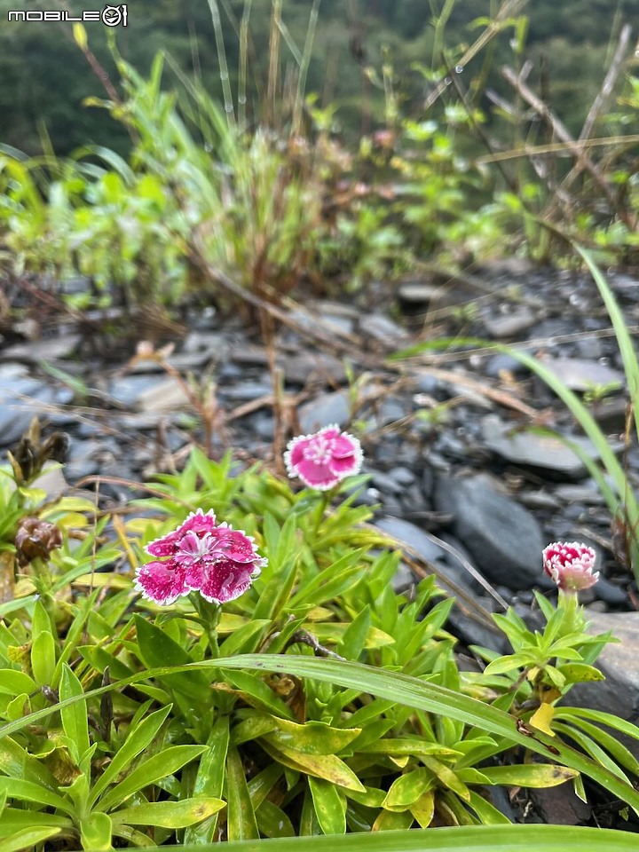 親子露營|南投・格拿里:柴爐野溪險峻山路 X 四個月寶寶收涎