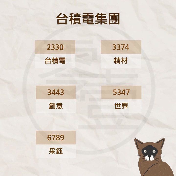 點我看大圖 個股介紹 - 台積電集團