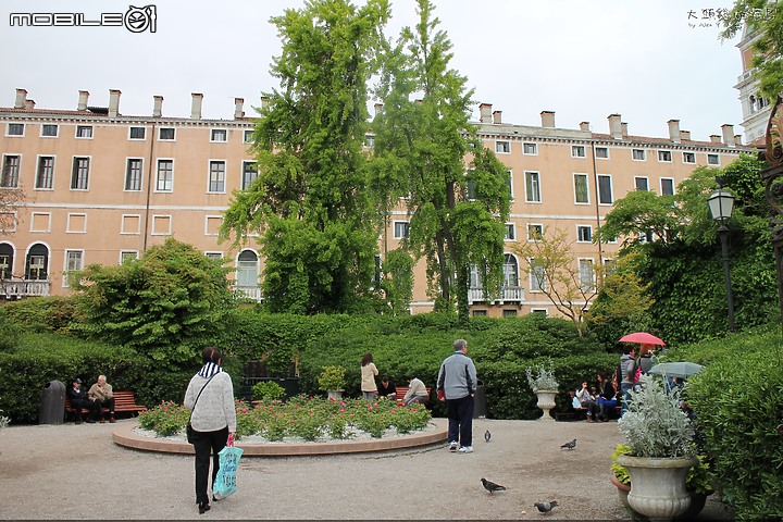 [大頭貓的海島] 瀉湖上的奇蹟美城 威尼斯 (Venice)