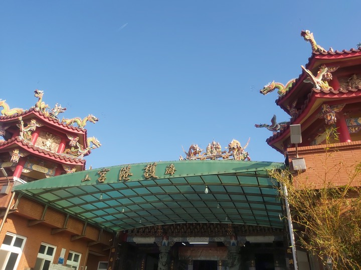 17公里海岸線，沒走完的看鳥行程