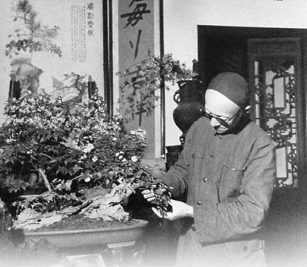點我看大圖 品性如茶,茶悟人生——周瘦鹃与茶的不解之缘 ( 鸳鸯蝴蝶派作家周瘦鵑逸事 )