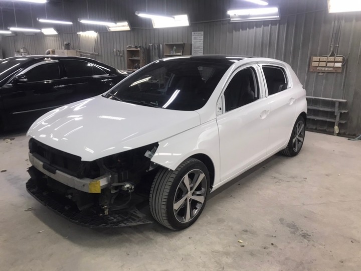 308T9-全車換色全記錄