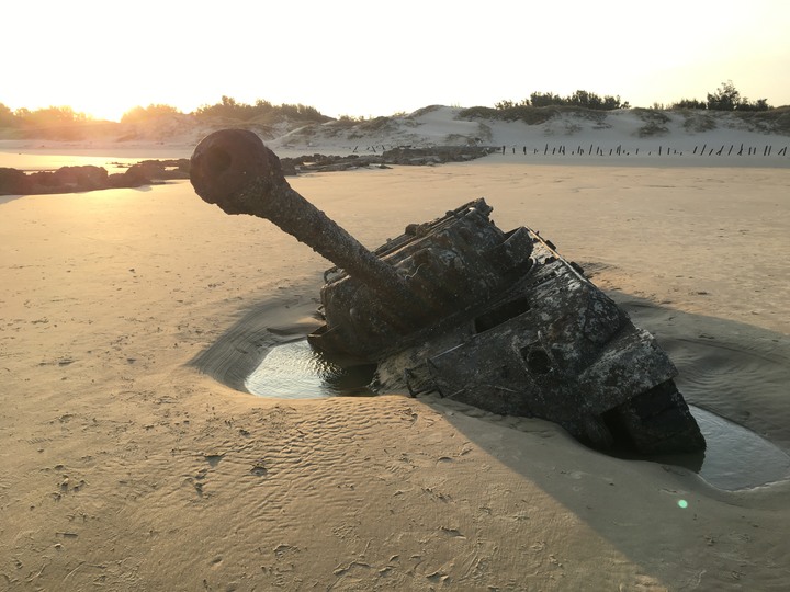 金門.環島「尋獅記」