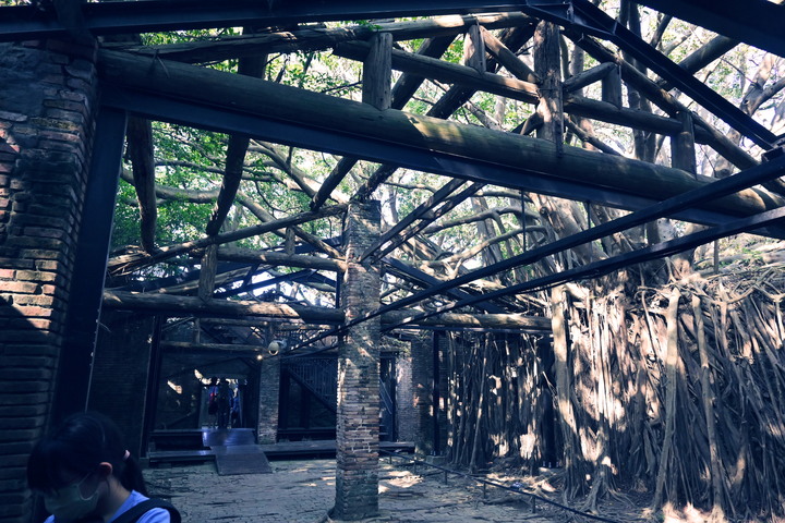 阿里山奮起湖台南高雄墾丁山海之旅(2)