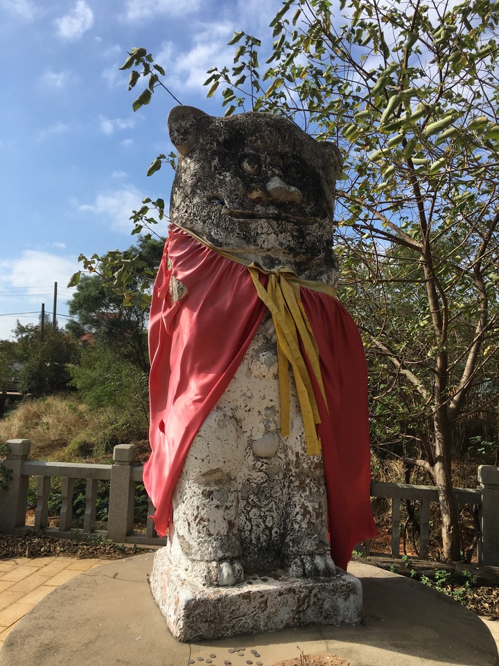 金門.環島「尋獅記」