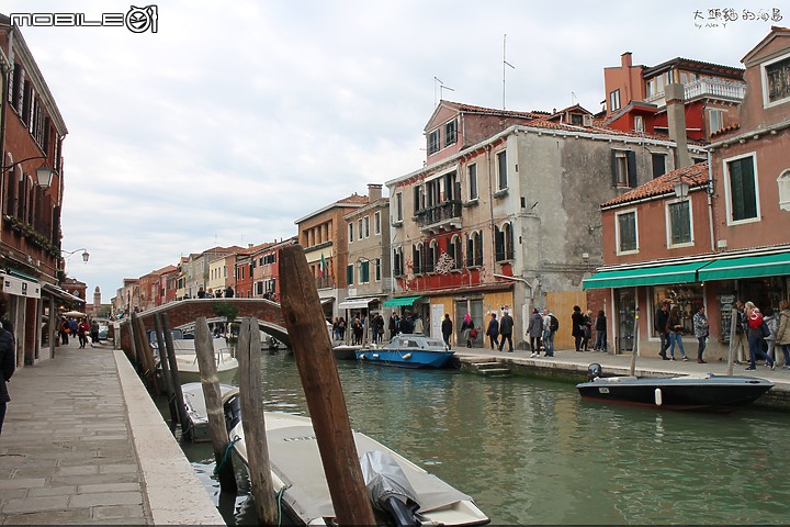 [大頭貓的海島] 瀉湖上的奇蹟美城 威尼斯 (Venice)