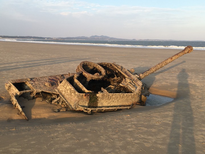 金門.環島「尋獅記」