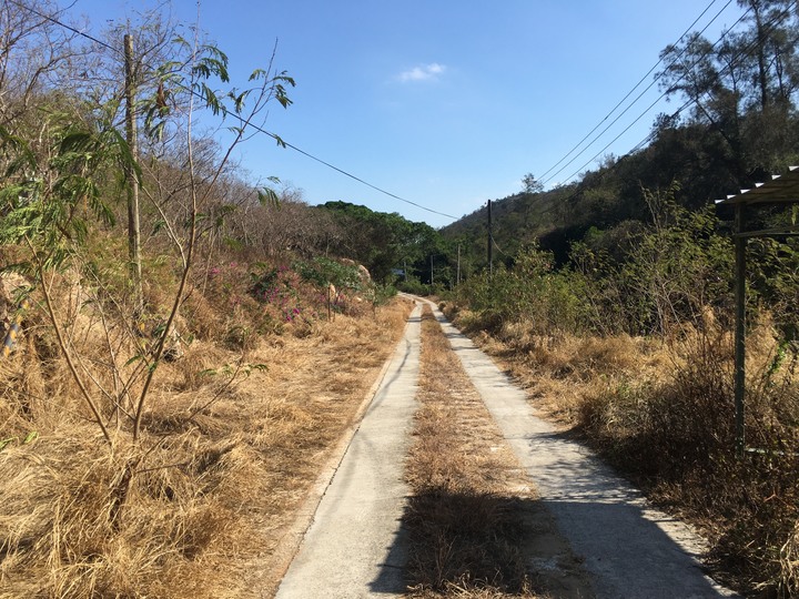 金門.環島「尋獅記」