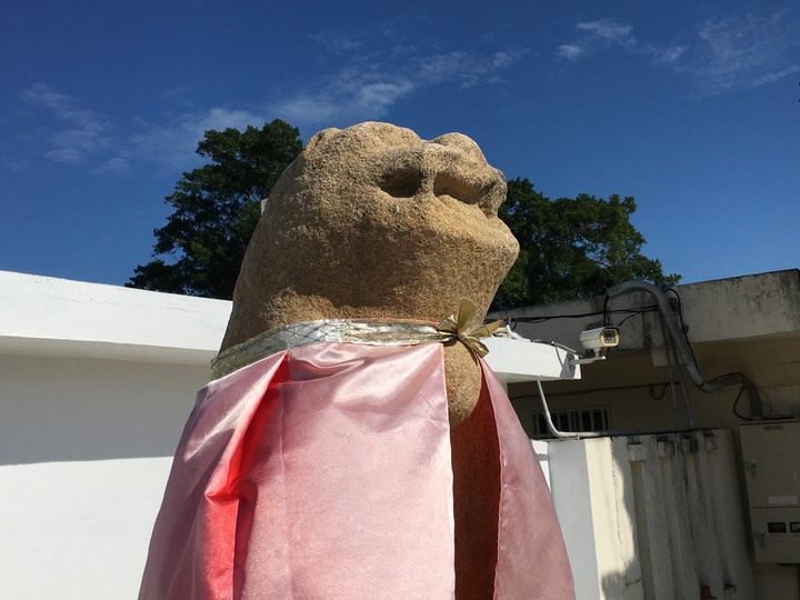 金門.環島「尋獅記」