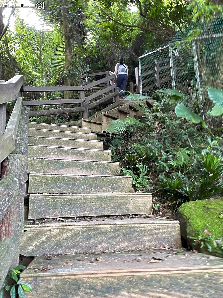 親子小百岳|#016南勢角山:郊山親人難度低,台北盆地登高望