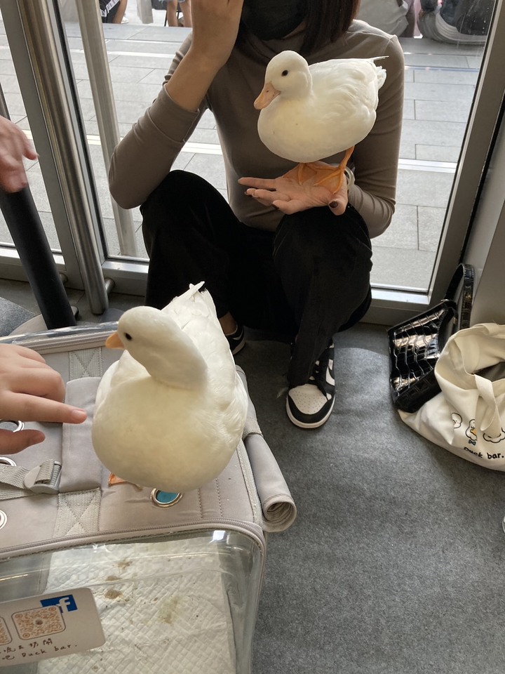【分享】特別的寵物