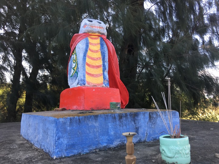 金門.環島「尋獅記」