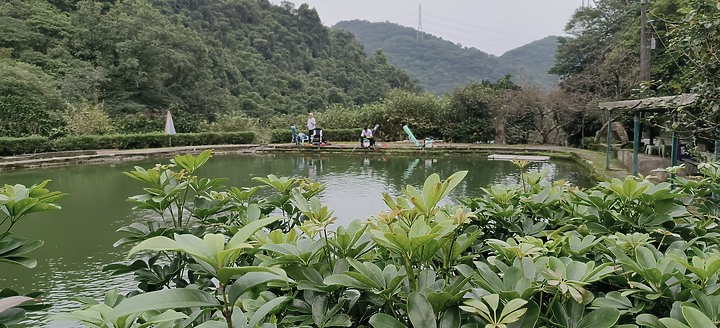 【池釣狂熱】釣點分享