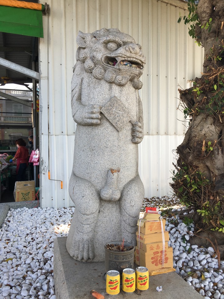 金門.環島「尋獅記」