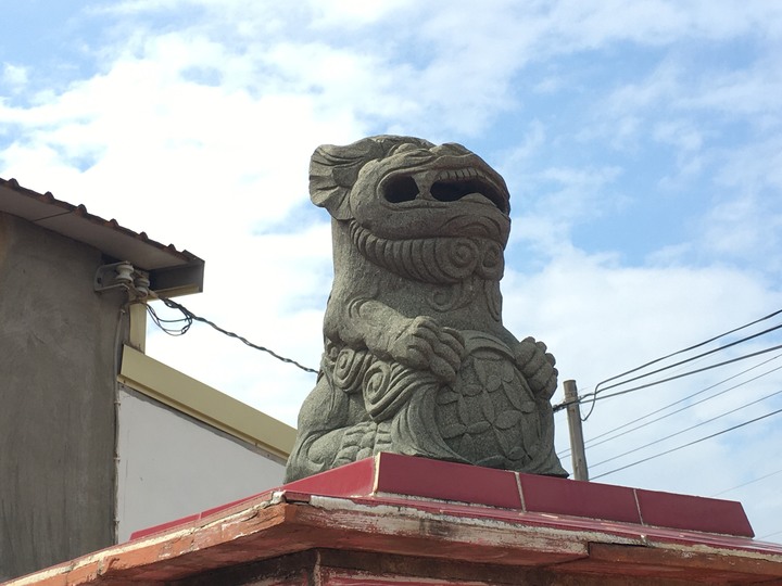 金門.環島「尋獅記」