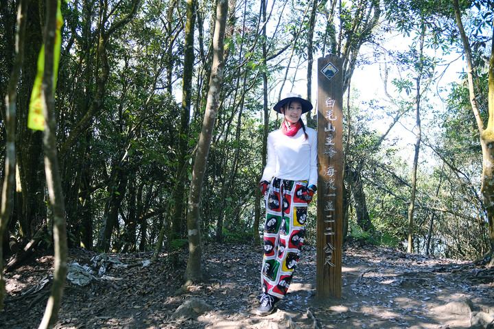 點我看大圖 【 白毛山 】谷關七雄老六 | 最好拍最好玩的一座 | 必拍網美天梯