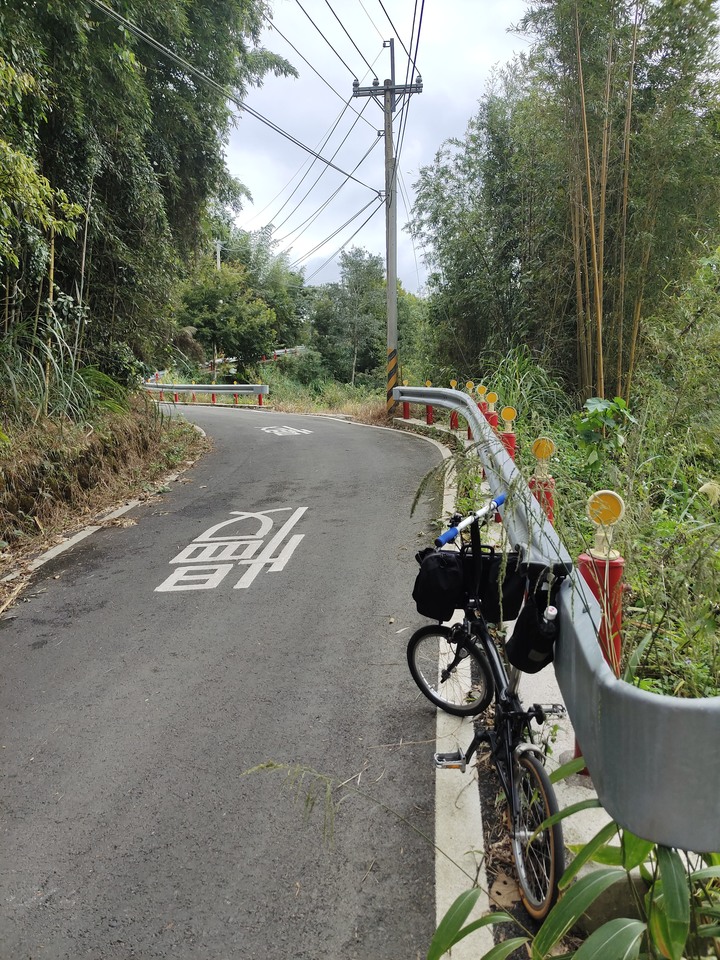 小布騎遊新竹凌空廊道O型