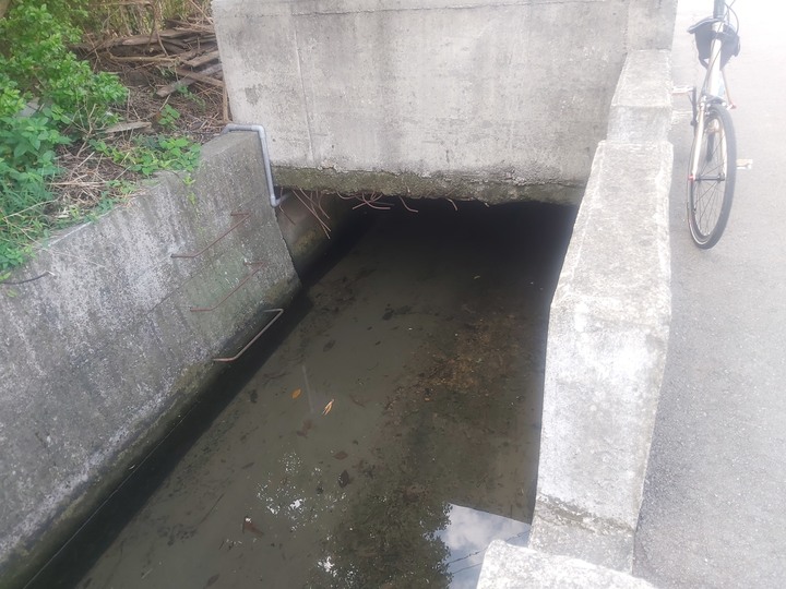 鄉間小路之巡田水行
