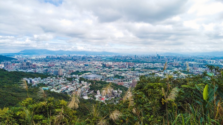【新北賞芒秘境】樹林大同山、青龍嶺、三角埔頂山