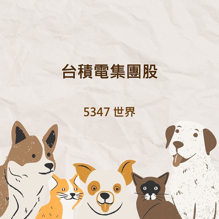 點我看大圖 個股介紹 - 台積電集團