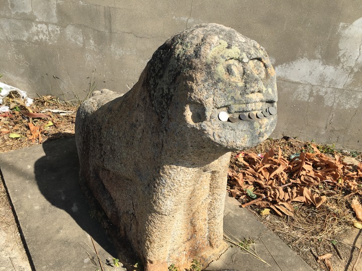 金門.環島「尋獅記」